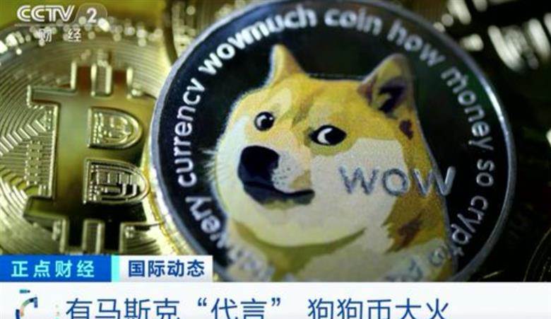 特斯拉汽车ceo,自称「狗狗币」鼻祖的马斯克在twiter谈起「秋田犬.